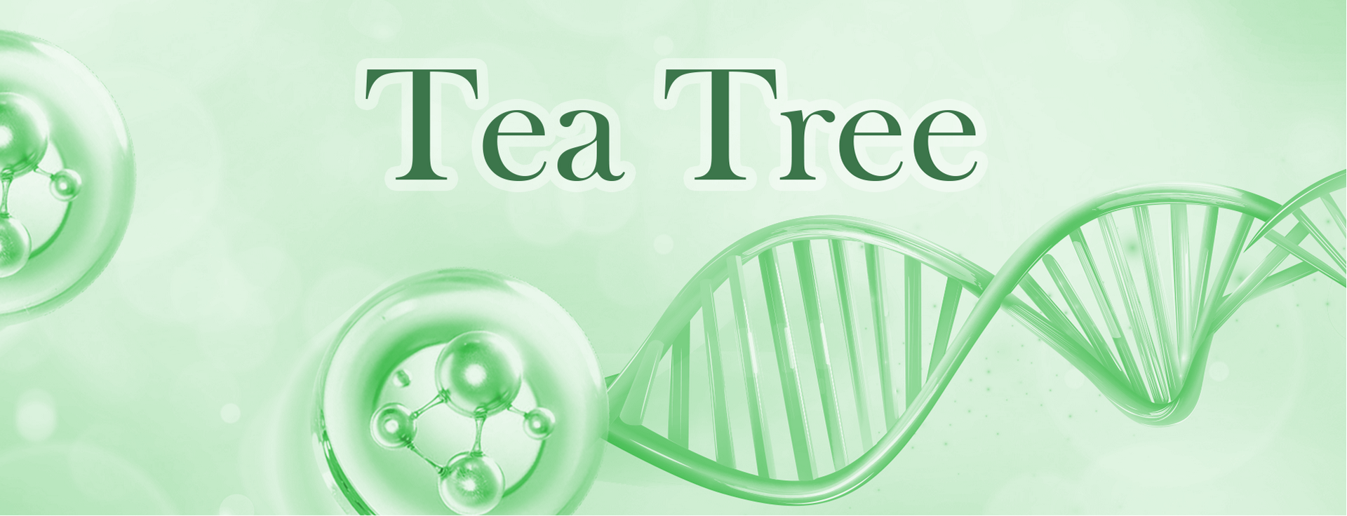 Tea Tree